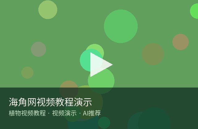 麻豆传媒